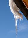 2009-01-08, Schnee (4)
